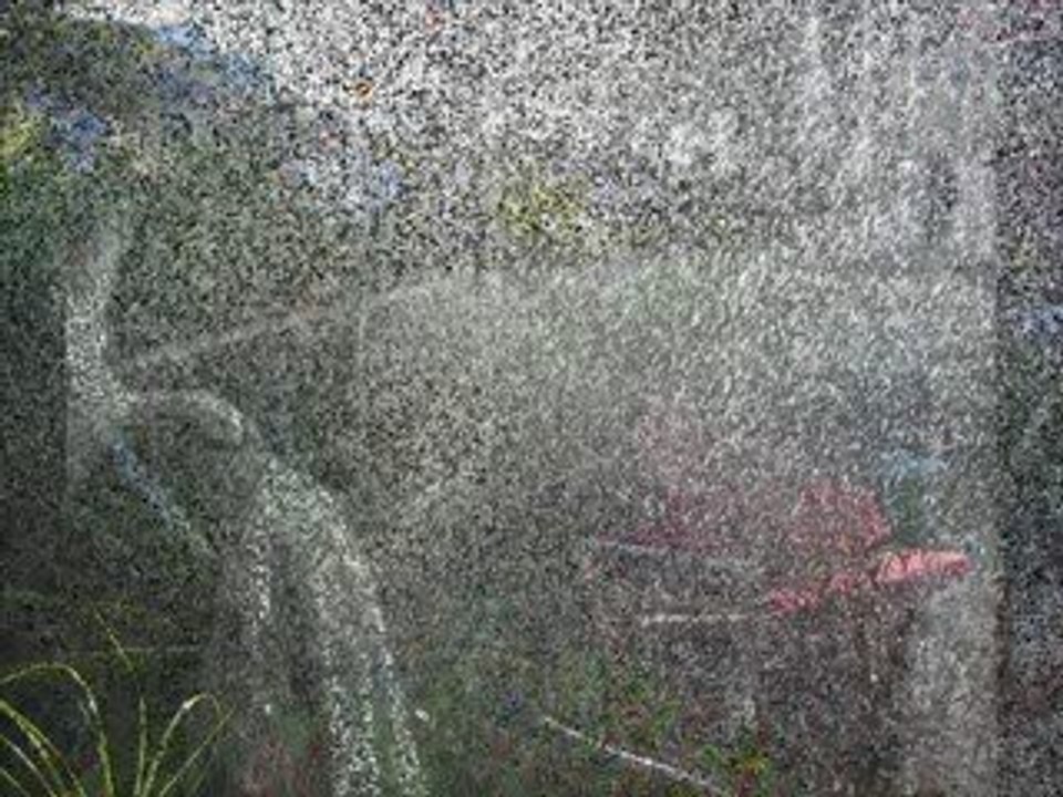 Rain,Rain,Go Away-High Steppers