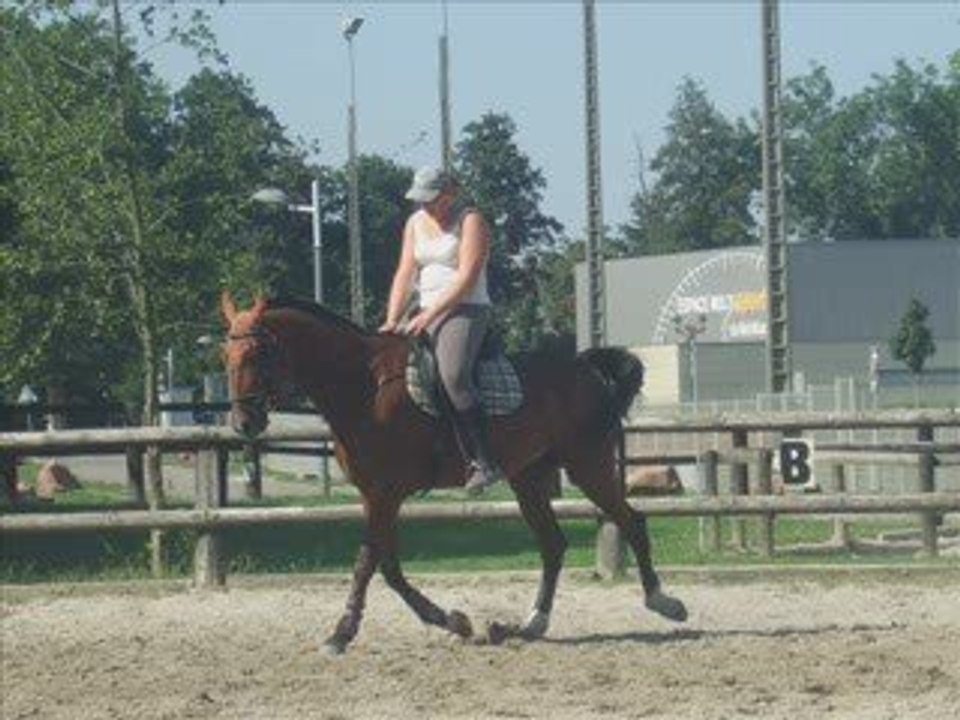 dressage 8 août 2009