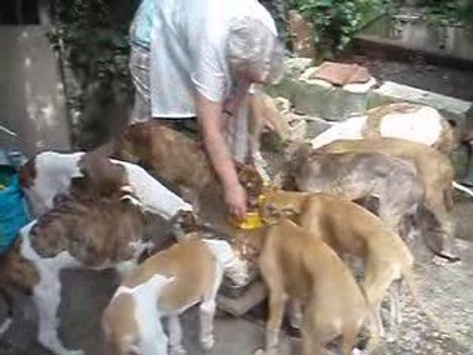 dit bonjour au facteur