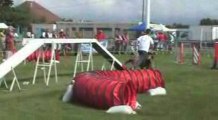Trophée agility par equipe Montelimar 2009