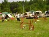 Concours agility Drusenheim GPF