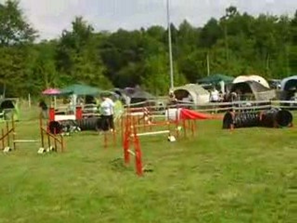 Concours agility Drusenheim JUMPING