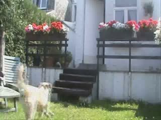 Belgian Parkour - Spring o'9