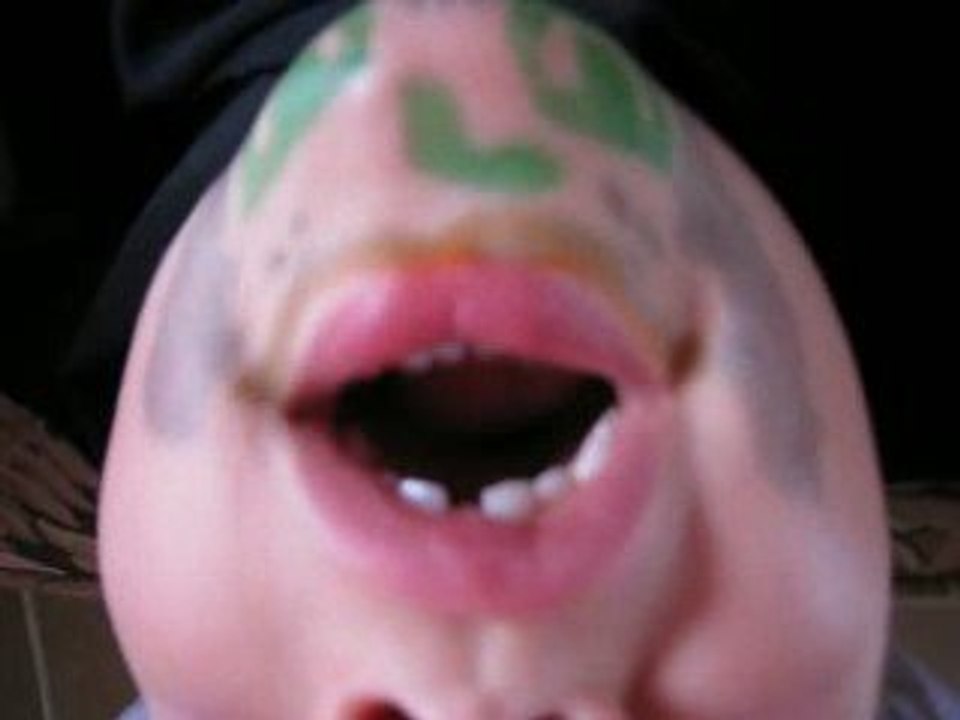 Bodoplop cherche un petit chien et un petit chat