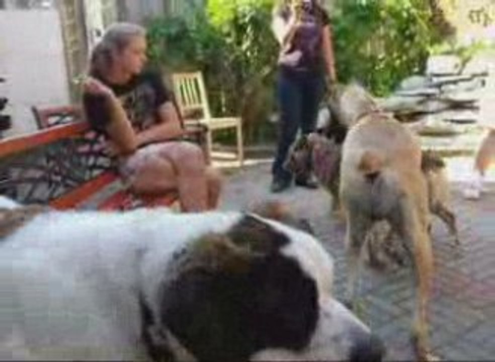 Fête anniversaire de Coraggio