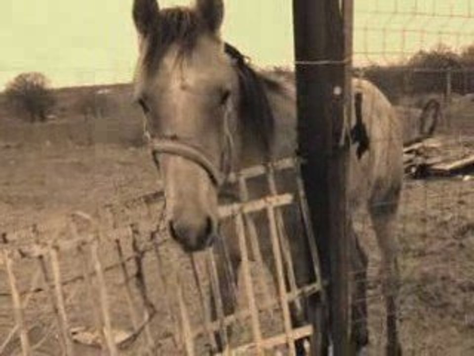 Mon tii Louu' ♥