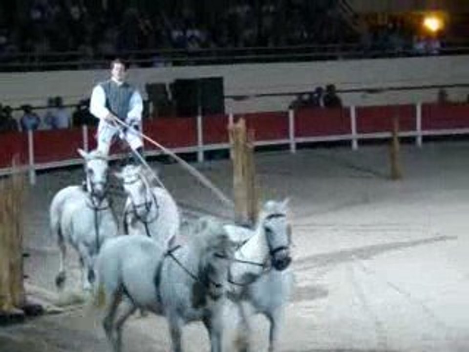 LORENZO - Spectacle équestre 2009
