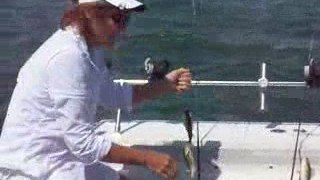 Perch fishing Lake Erie