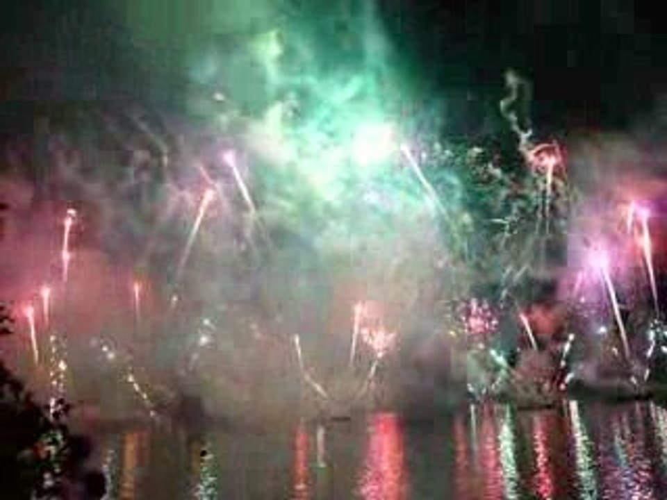 Feu d'artifice de Geneve 2009