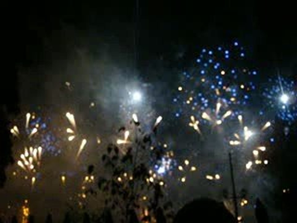 bouquet finale feu d'artifice fete de geneve 2009
