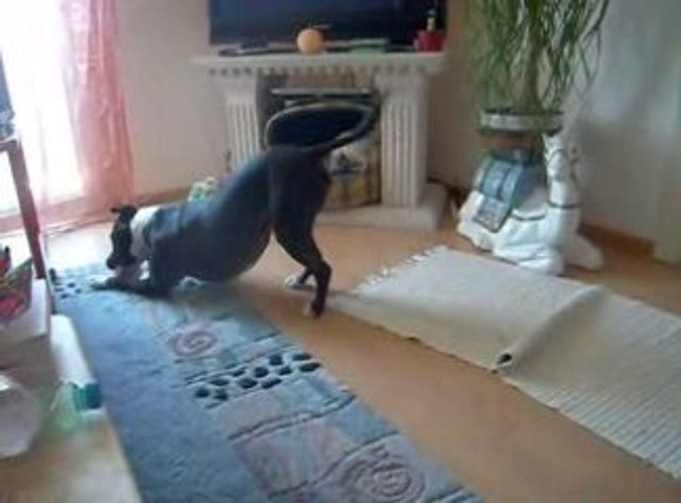 RIZIO et son hamburger qui fait kouik-kouik!