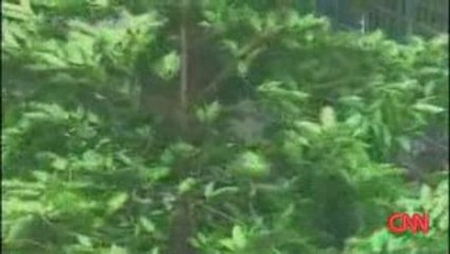 MORAKOT TYPHON CHINE CNN BLOGPARFAIT AOUT 2009