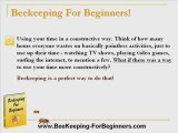 Beekeeping For Beginners! - Bee Keeping For Beginners!