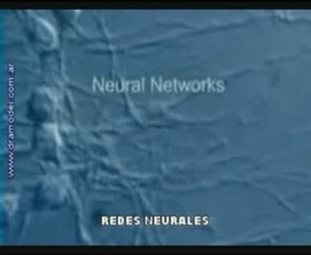 DR AMODEI CELULAS NERVIOSAS