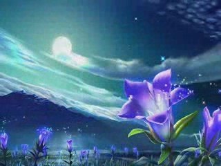 Лучший клип всех времен: Обзор и впечатления 🎬