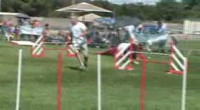 Trophée agility par equipe Montelimar 2009