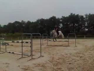 jument de 6 ans par airbone