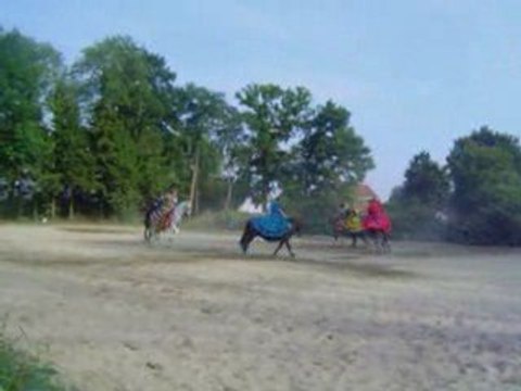 Lespes TV : Melting pot spectacle Haras du mussain