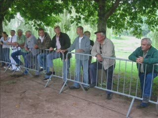 Chevaux Trait Etang 100809