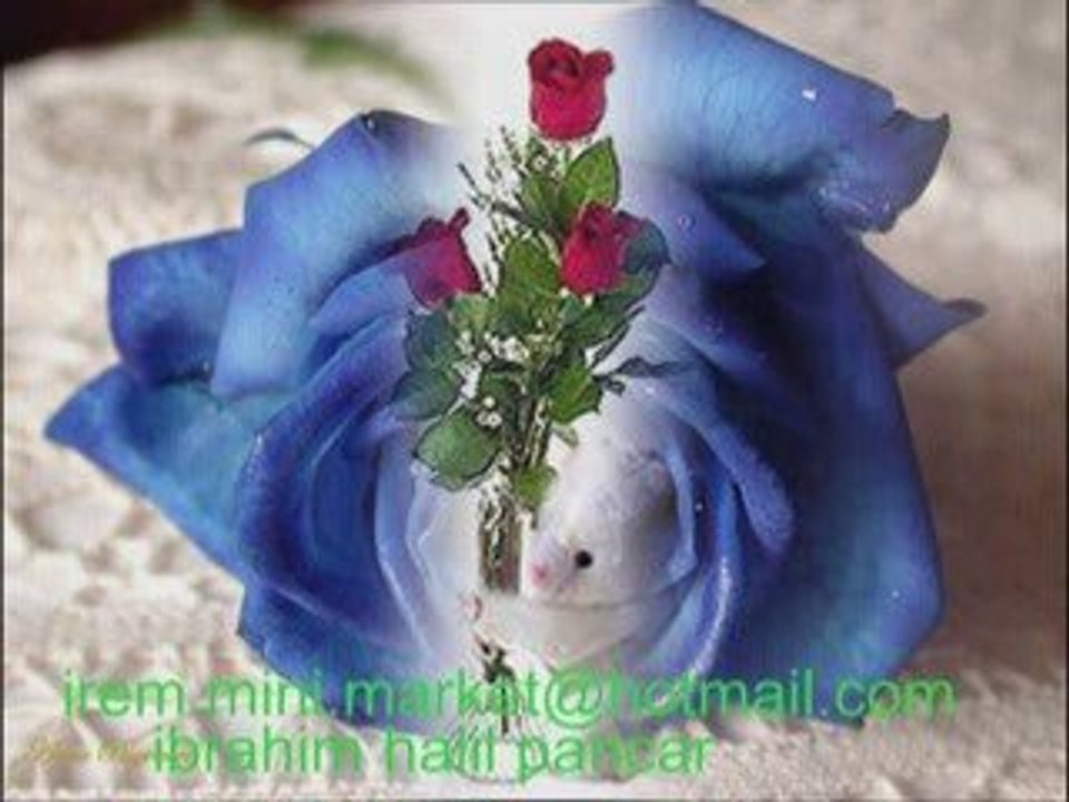 sevmek günahsa eger-ibrahim halil pancar