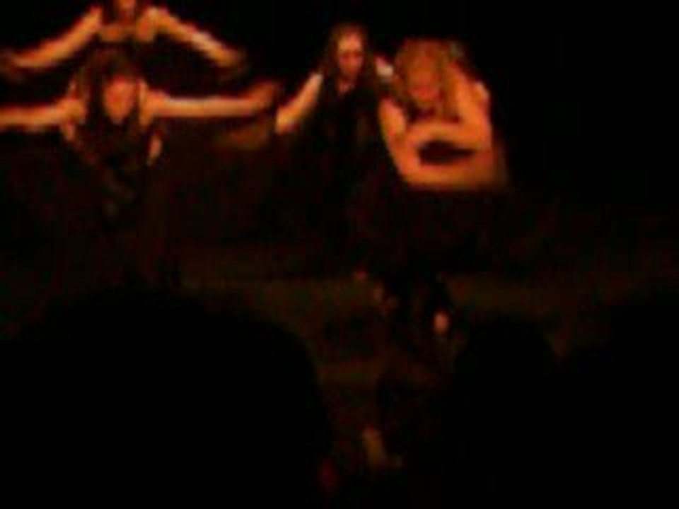 GALA (les chauves-souris)