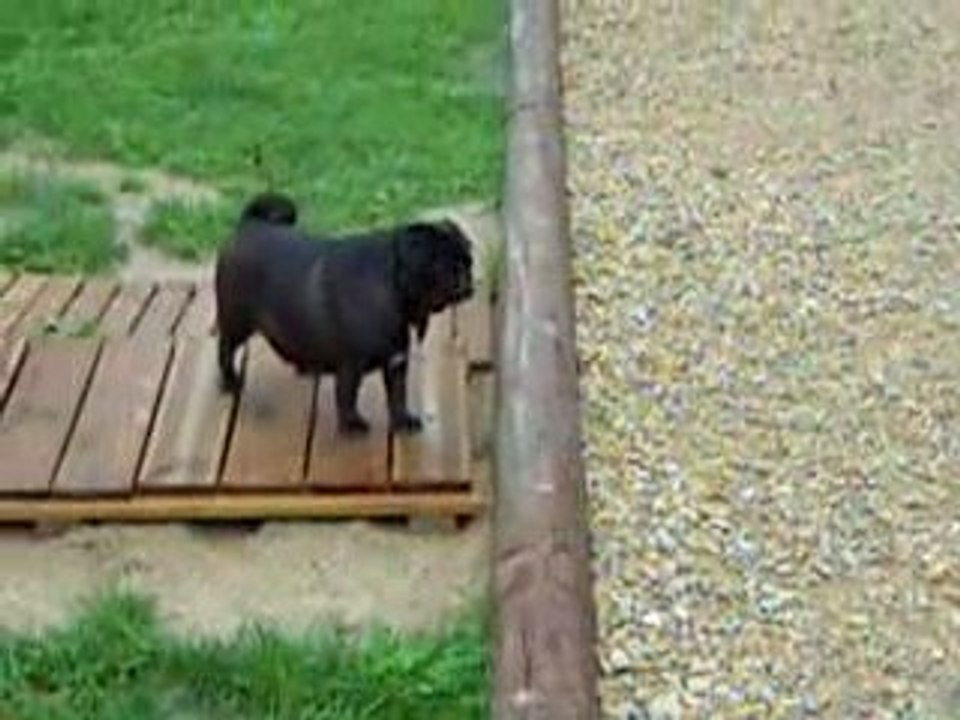 Dali avec la pepita's family !!!!