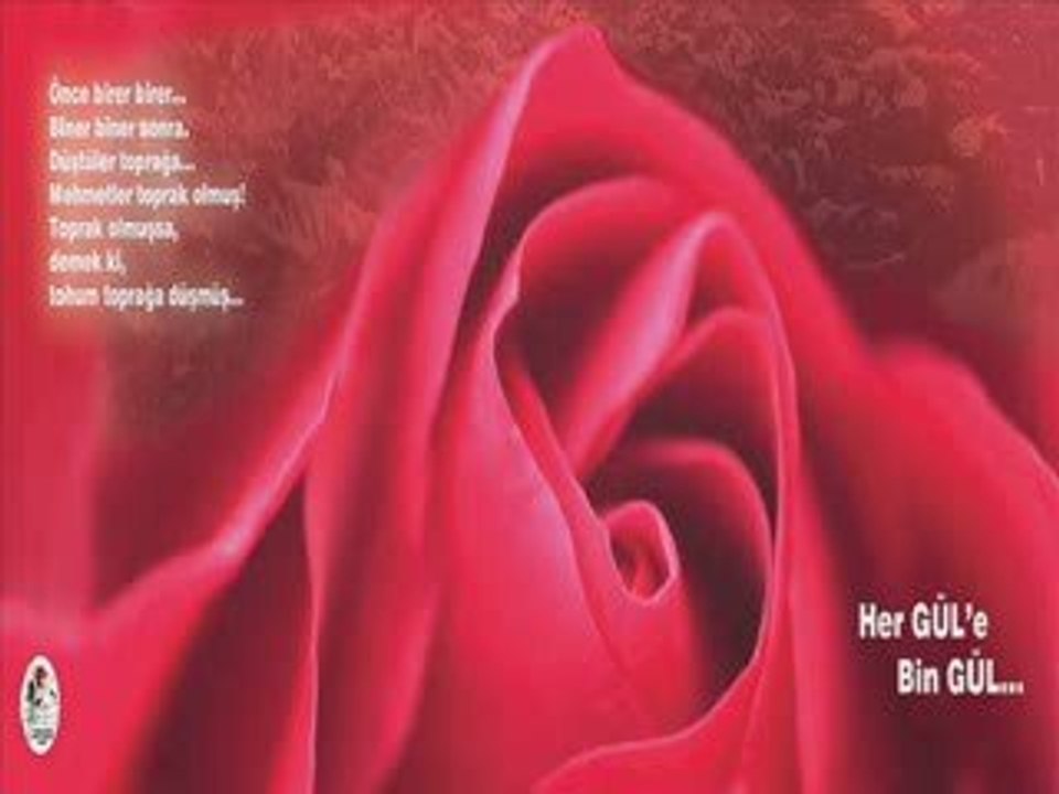 Bir Tarih Destanı Çanakkaleden Eşsiz Görüntüler ve Hatıralar