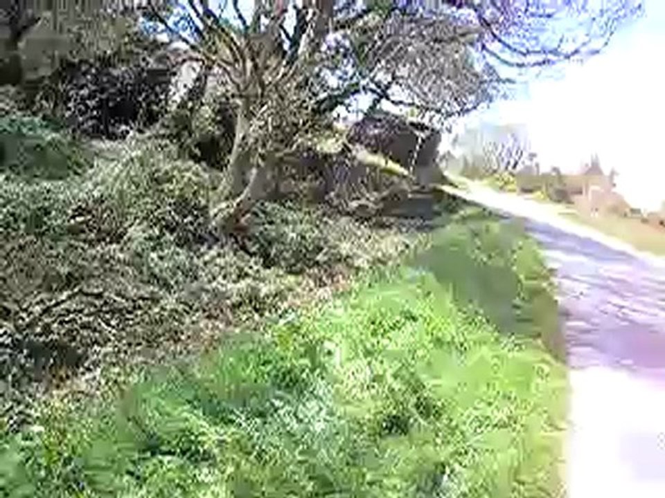 406 ravin accident crash