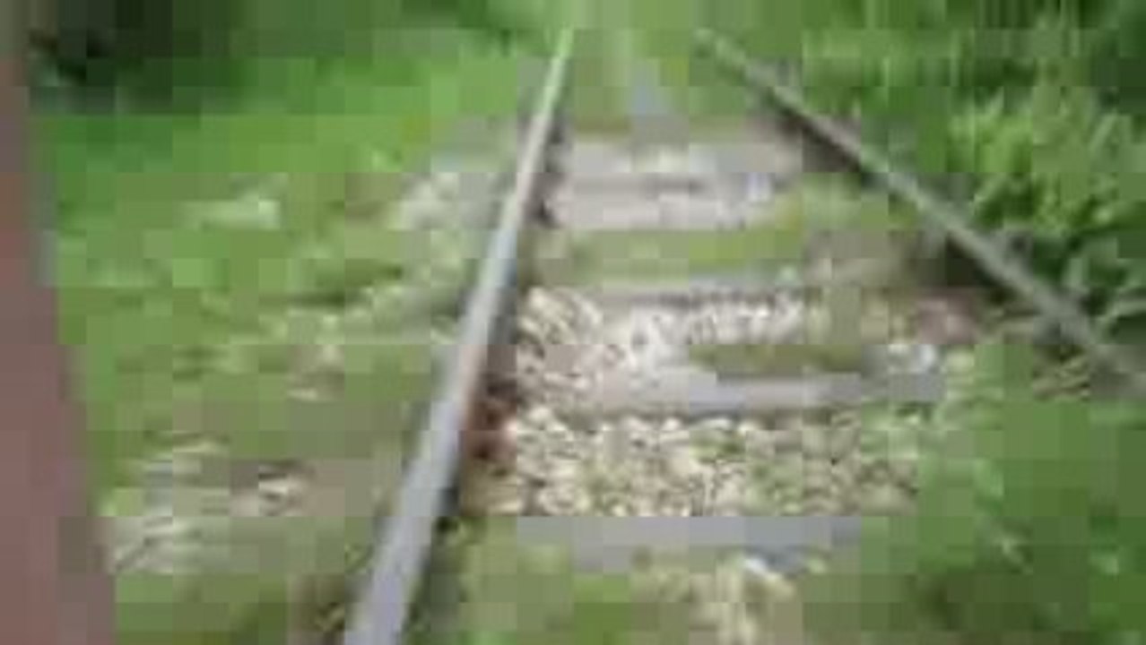 Bamboo train