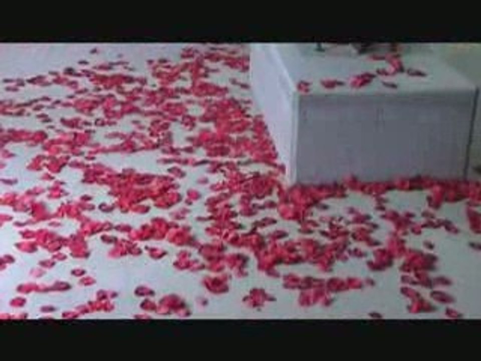 chariots ablaze my sorrow