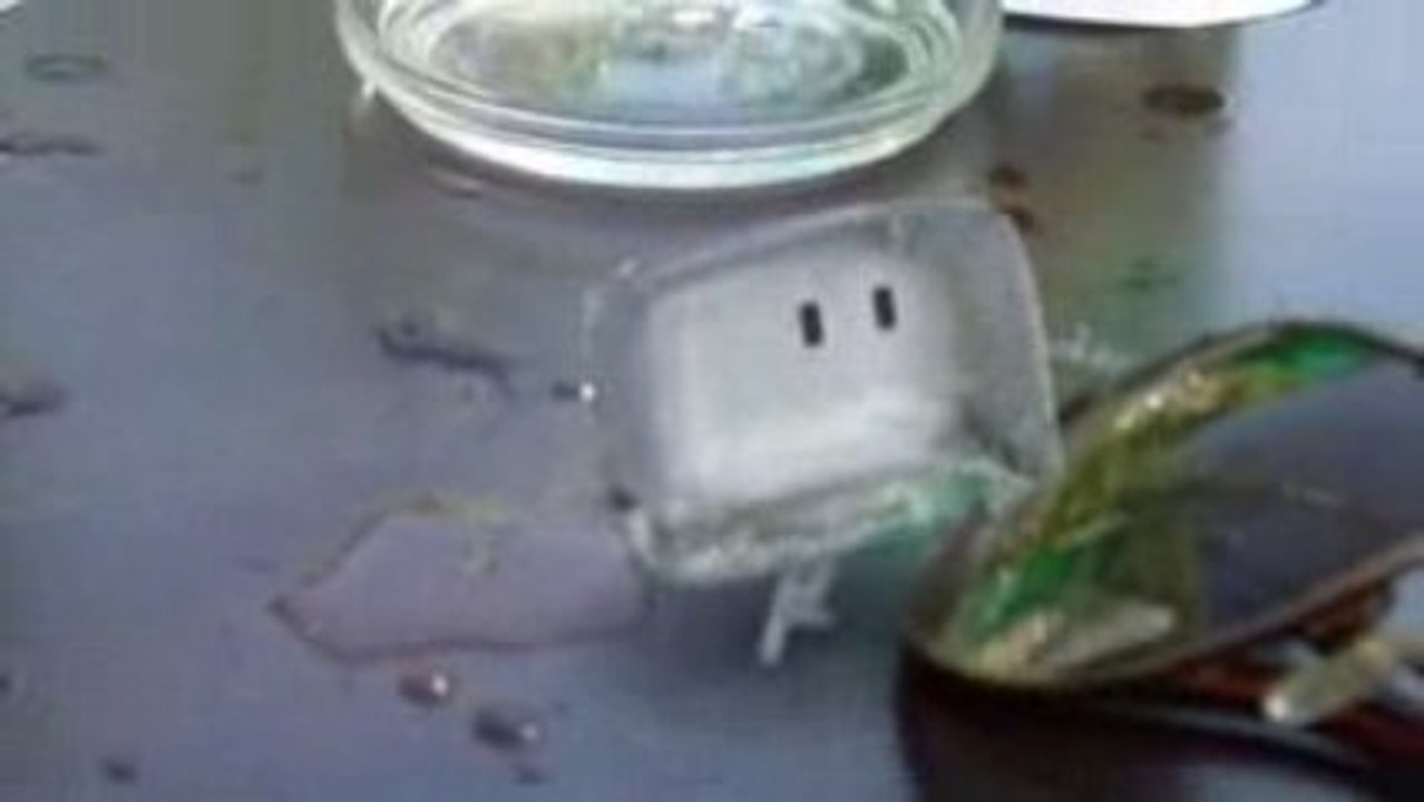 Un glaçon à Paris !