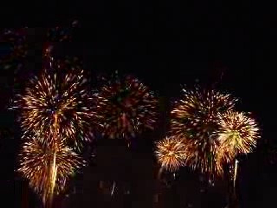 Fêtes de Genève, 2009 -  4