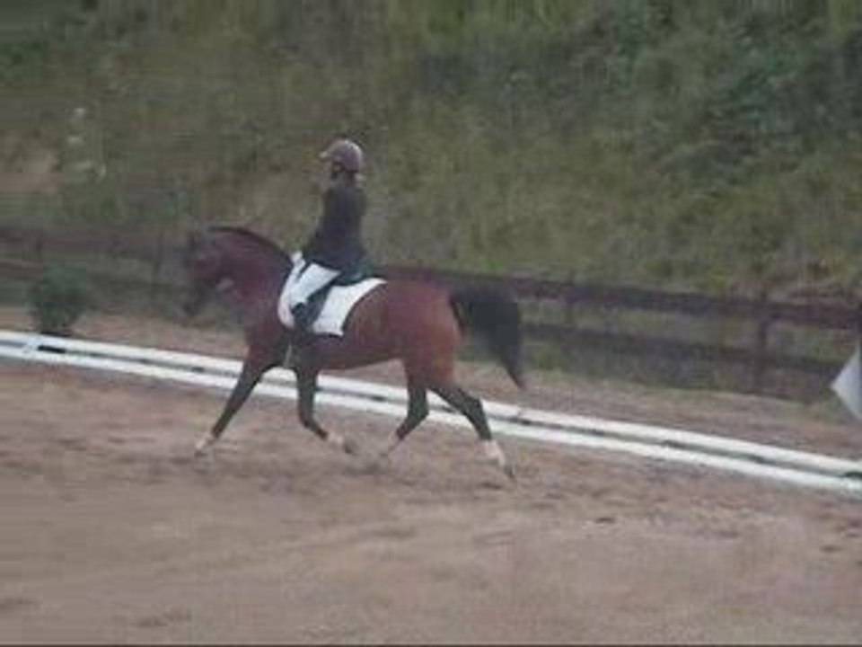 reprise dressage A6 Laraid