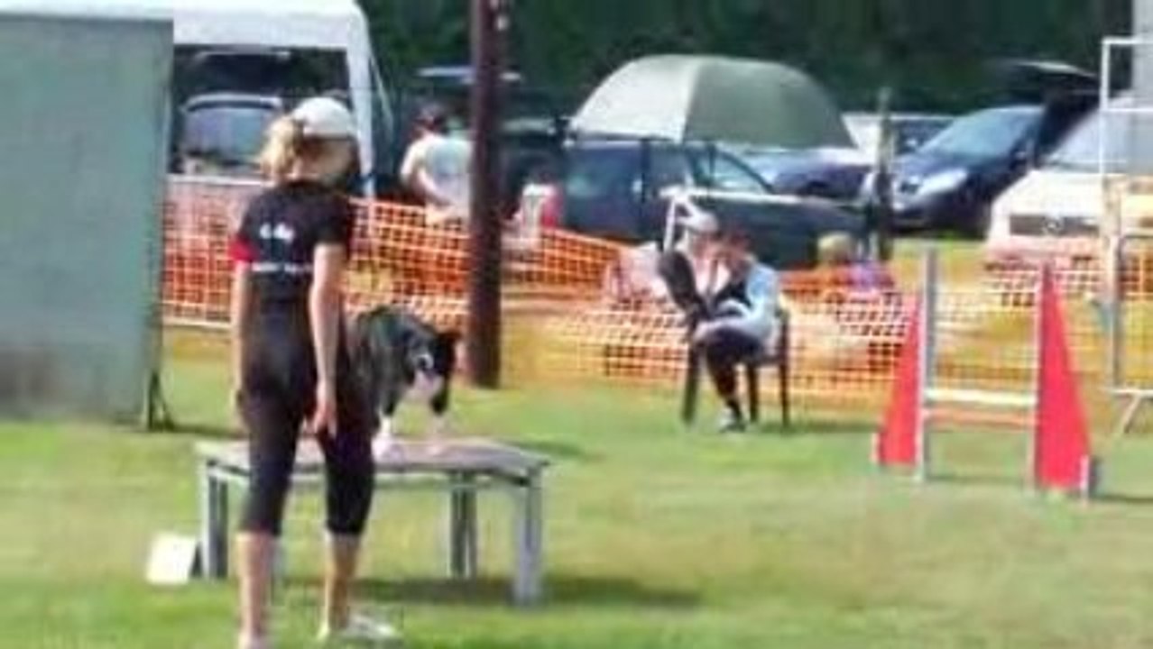 concours d'agility - 09.08.09 - Danjoutin