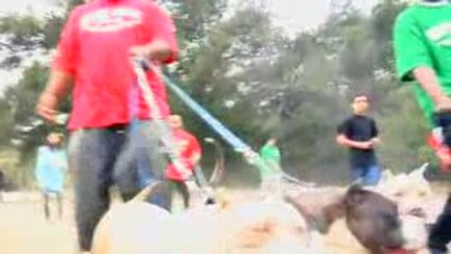 DJ Quik & Terrace Martin - Blueline Family Runnin' Thangs