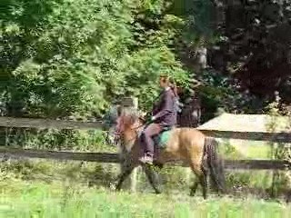 Severine et Ofotan, étalon sport !