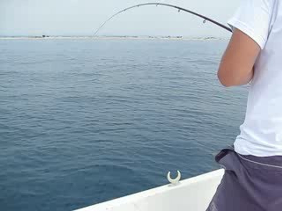 Pêche daurade