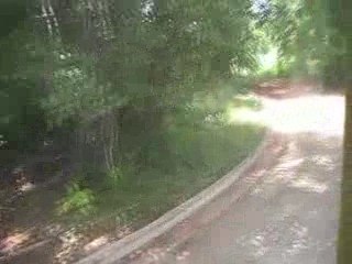 Près de Playa Larga, Cuba, Juillet 2009