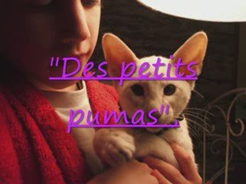 le déménagement