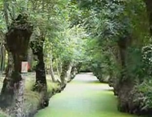 Le marais Poitevin