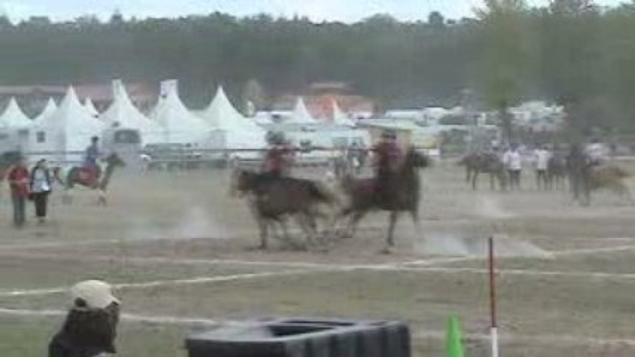 XEROX 1 slalom