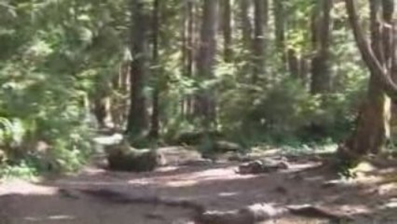 Nitinat: A Hidden Gem for Kitesurfers