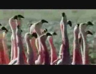 La nature est bien plus belle que la ville