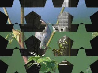 Giọt Nắng Bên Thềm