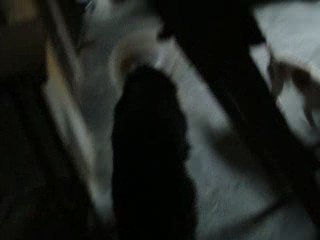 NOS PREPARAMOS PARA EL CUMPLEAÑOS DE LA SEÑORA JUDITH