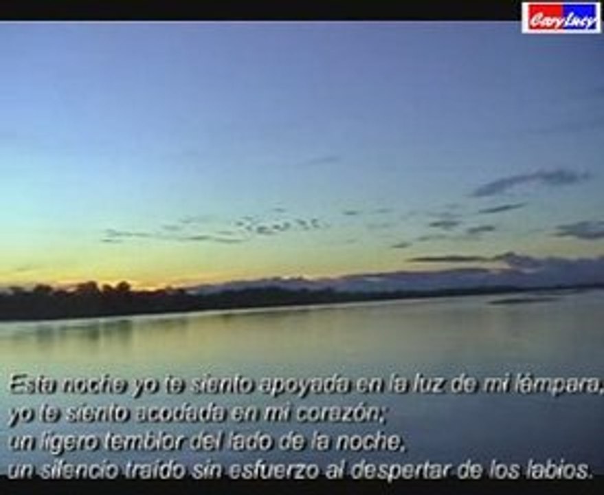 SOMBRAS  EN LA AMAZONIA 2009