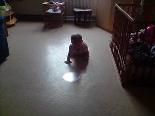 zoe premier quatre pattes