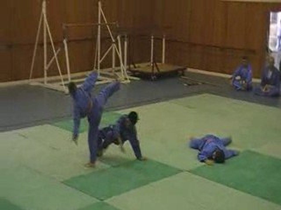 Vovinam Viet Vo Dao : demo juin 2009 - 4