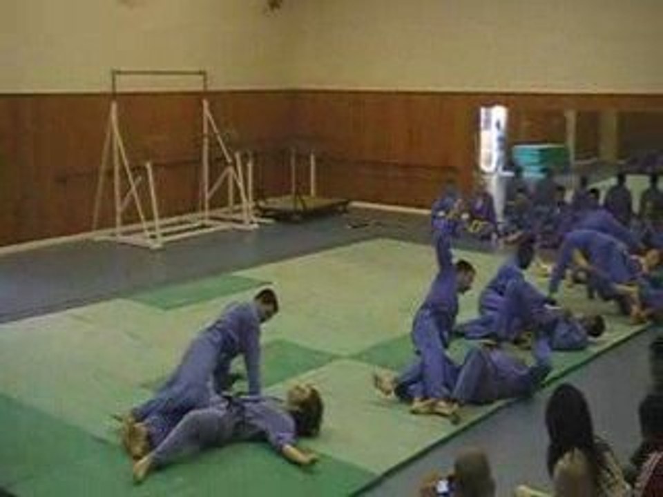 Vovinam Viet Vo Dao : demo juin 2009 - 6