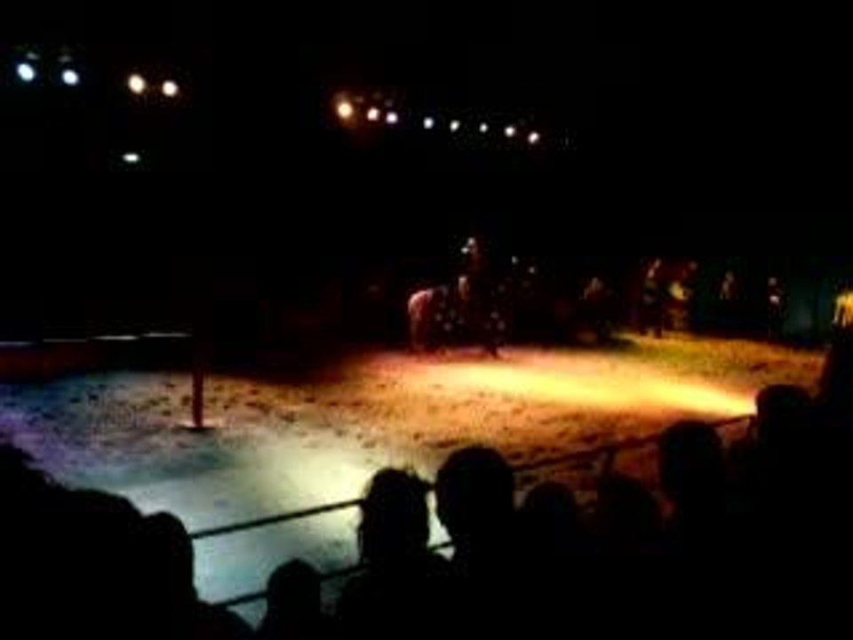 land van ooit 16-6-06 028